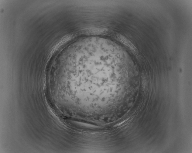 X0000082730582200702091840