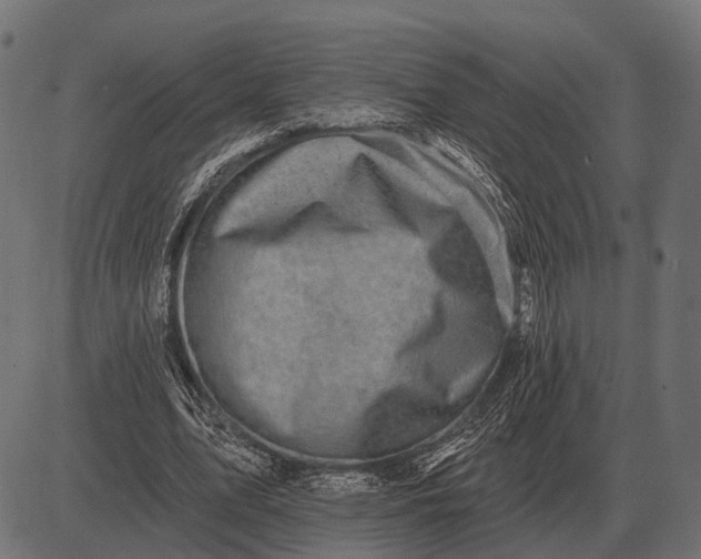 X0000082730583200702091840