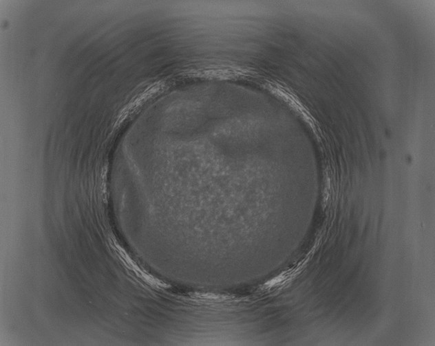 X0000082730585200702091840