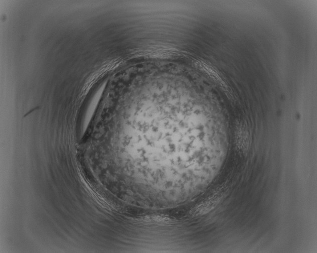 X0000082730586200702091840