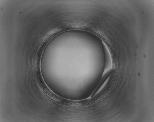 X0000082730587200702091840