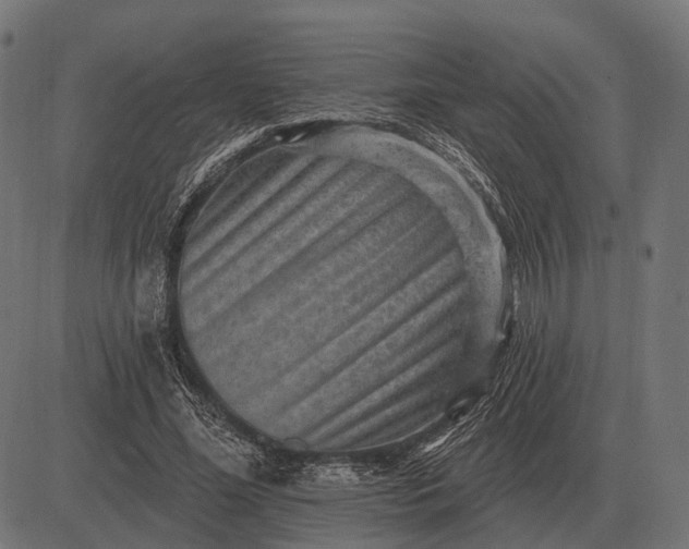 X0000082730588200702091840