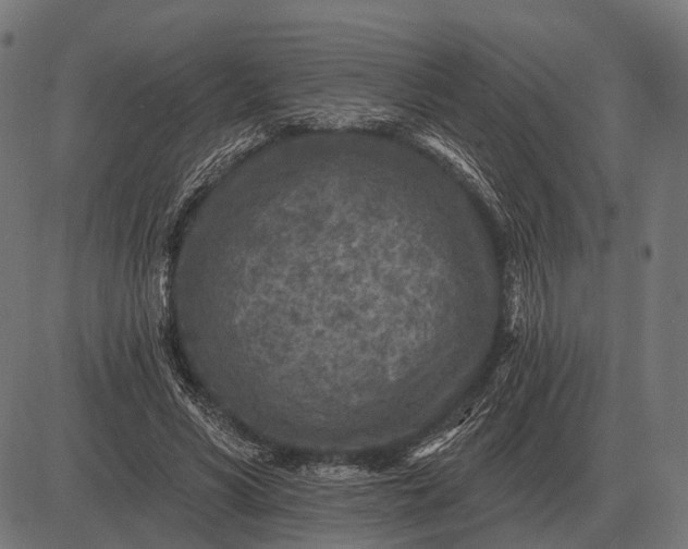 X0000082730590200702091840