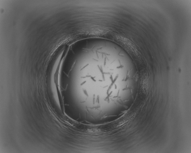 X0000082730591200702091840