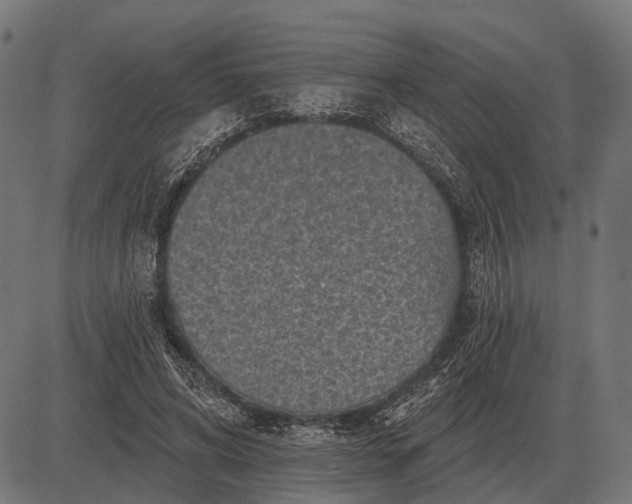 X0000082730592200702091840