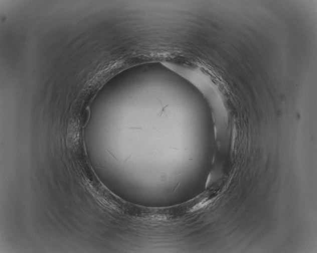 X0000082730593200702091840