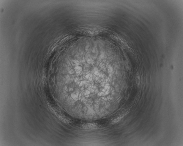 X0000082730594200702091839