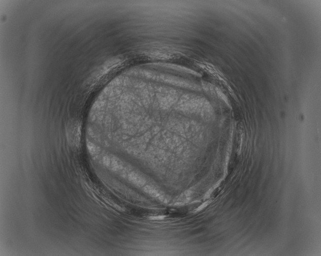 X0000082730596200702091839