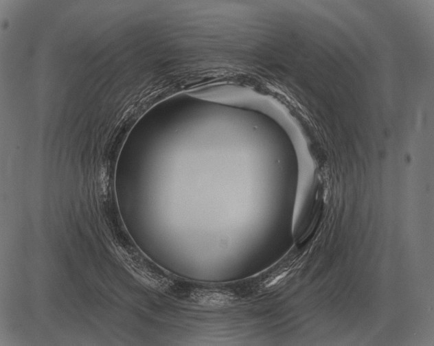 X0000082730597200702091839