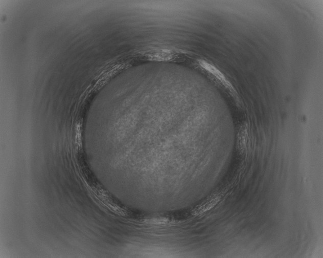 X0000082730598200702091839