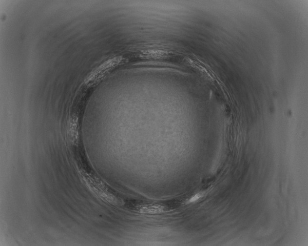 X0000082730599200702091839