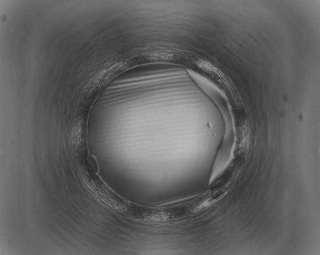 X0000082730600200702091839