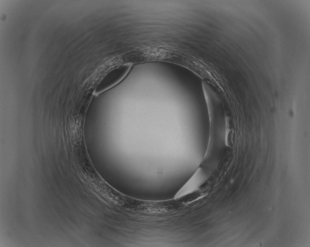 X0000082730601200702091839