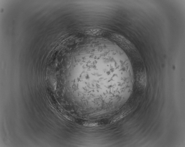 X0000082730602200702091839