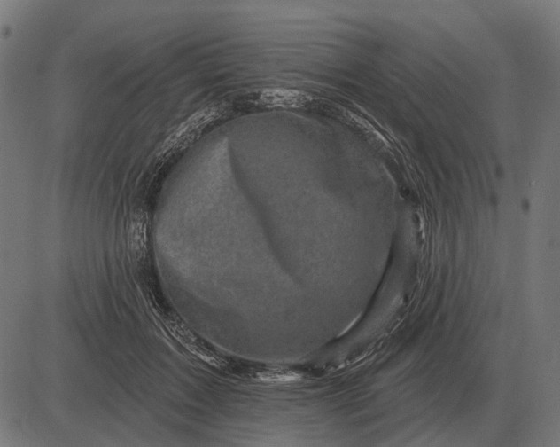 X0000082730603200702091839