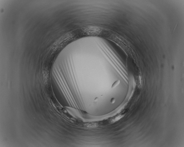 X0000082730604200702091839