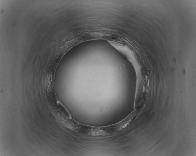 X0000082730605200702091839