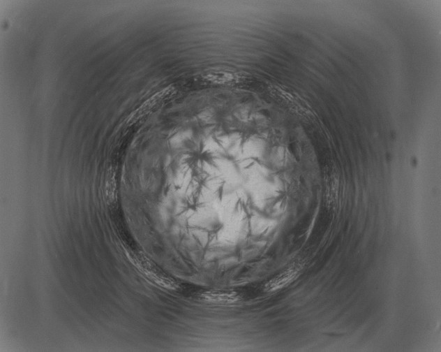 X0000082730606200702091839