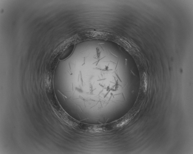 X0000082730607200702091839