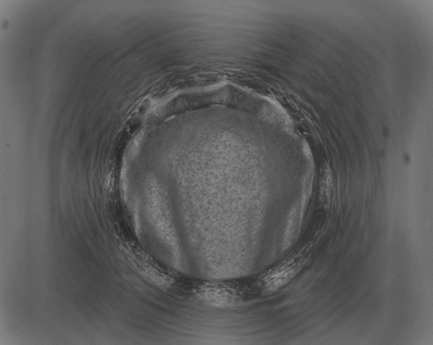 X0000082730608200702091839