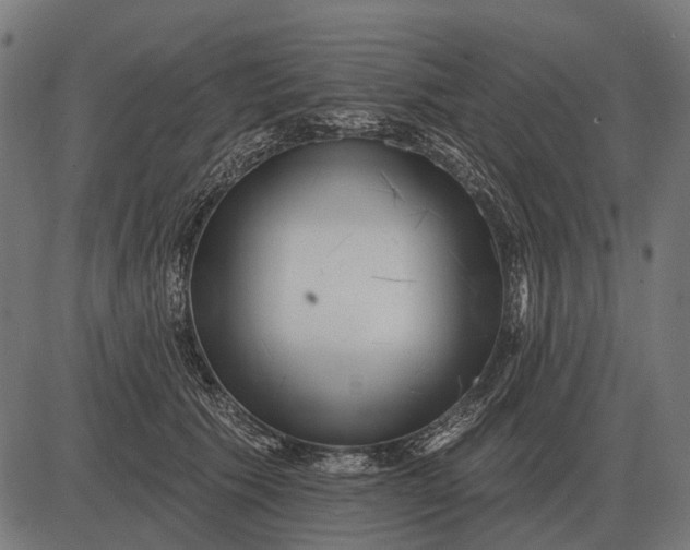 X0000082730609200702091839