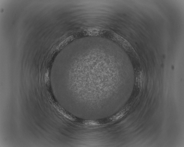 X0000082730610200702091839