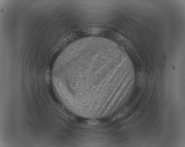 X0000082730612200702091839