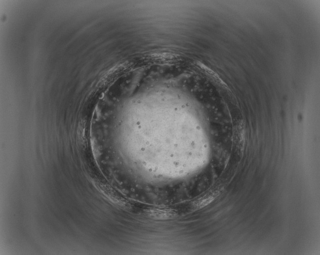 X0000082730615200702091839