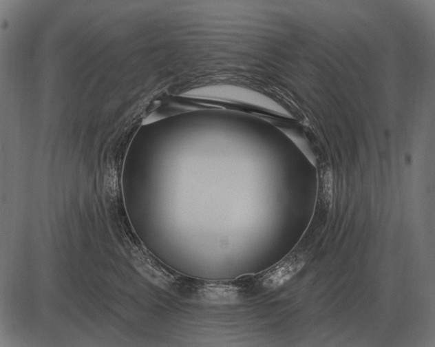 X0000082730617200702091839