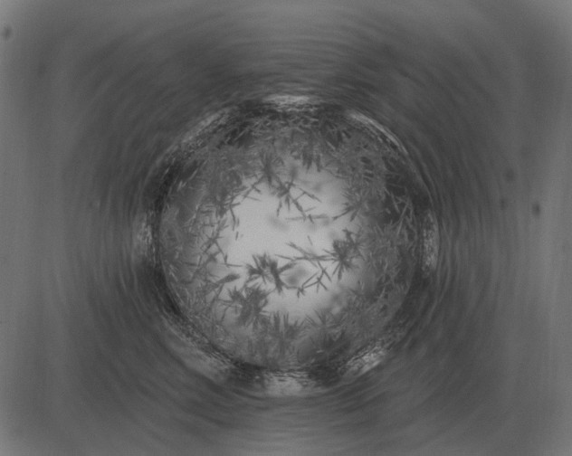 X0000082730618200702091839