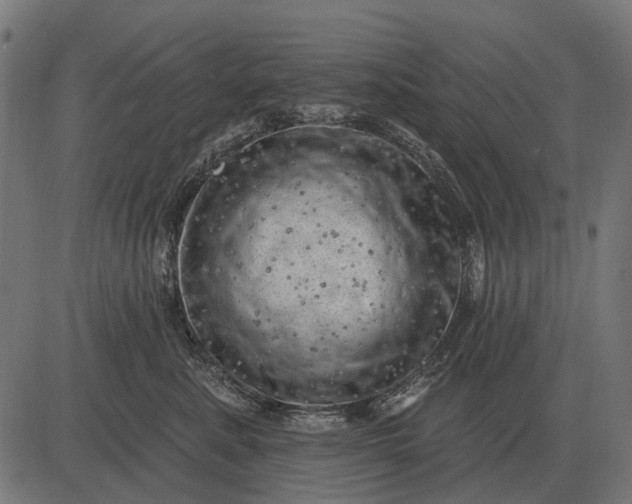 X0000082730619200702091839