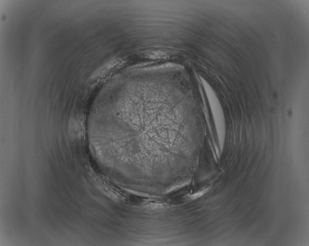 X0000082730620200702091839