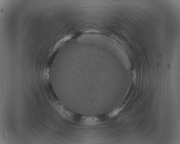 X0000082730621200702091839