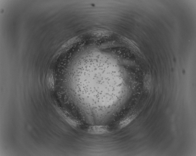 X0000082730622200702091839