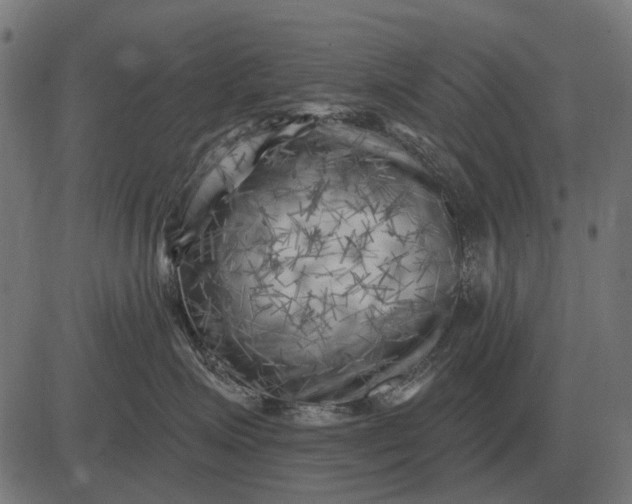 X0000082730623200702091839