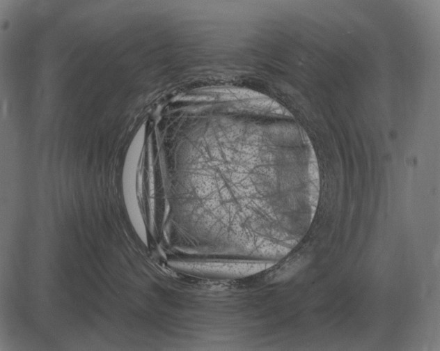 X0000082730624200702091839