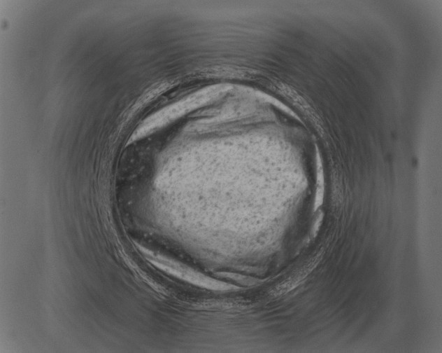 X0000082730625200702091838