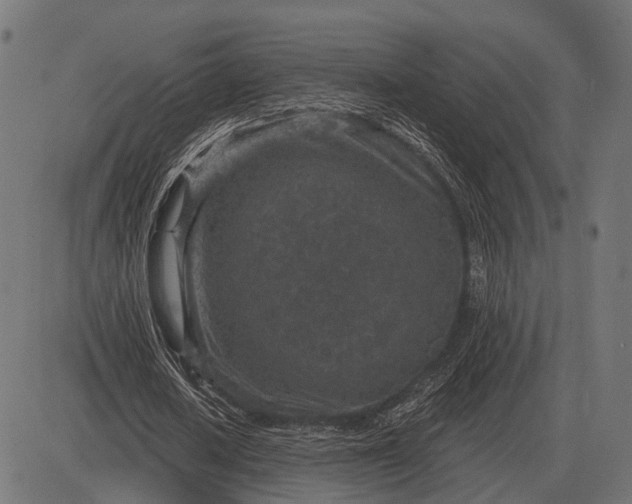 X0000082730626200702091838