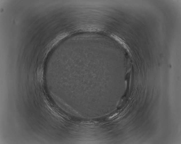 X0000082730627200702091838