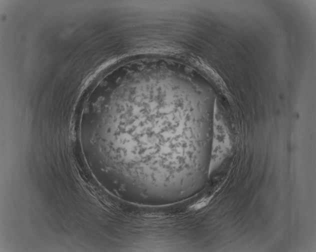 X0000082730628200702091838