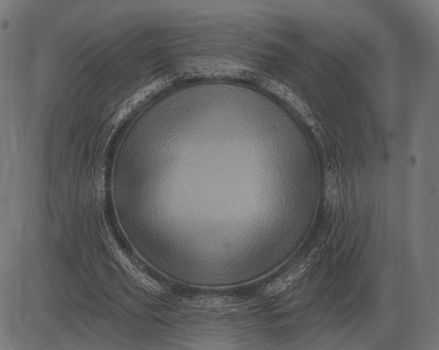 X0000082730629200702091838