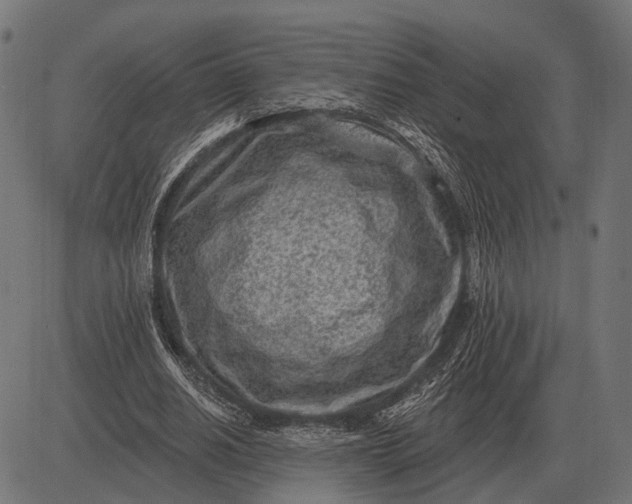 X0000082730630200702091838