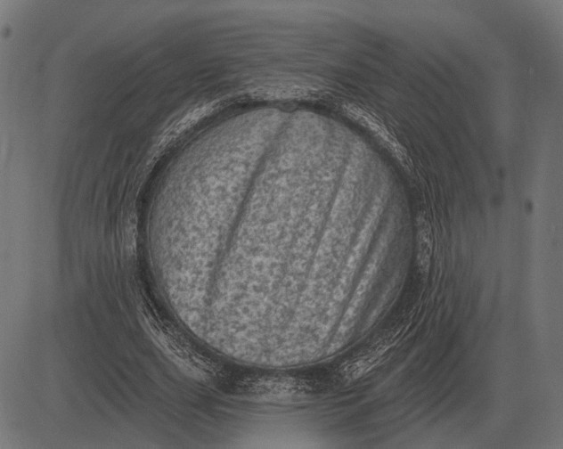 X0000082730631200702091838