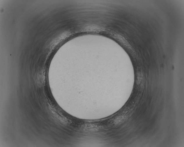 X0000082730632200702091838