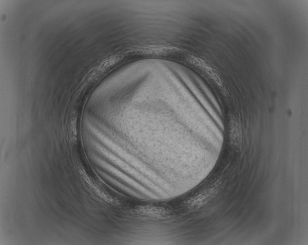 X0000082730633200702091838