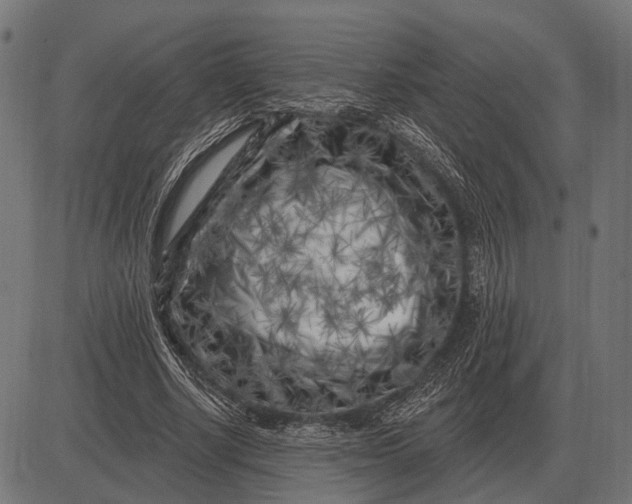 X0000082730634200702091838