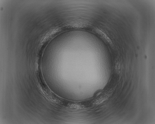 X0000082730635200702091838