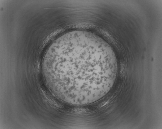 X0000082730636200702091838