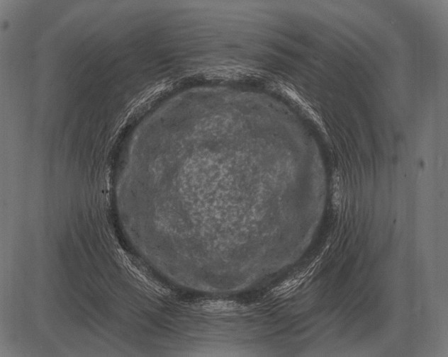 X0000082730637200702091838