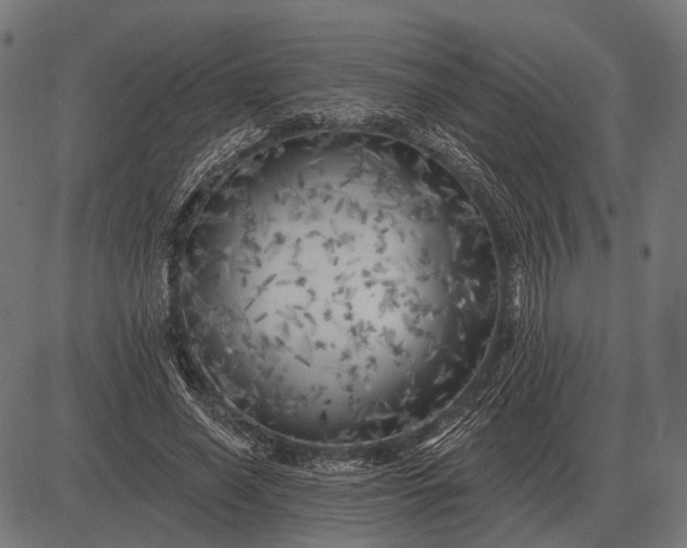 X0000082730638200702091838